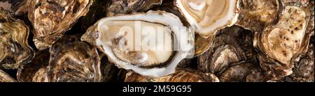 Close up frischen Fang von mehreren rohen Austern im Einzelhandel die Anzeige von Fisherman Markt, Nahaufnahme, hohe Betrachtungswinkel Stockfoto