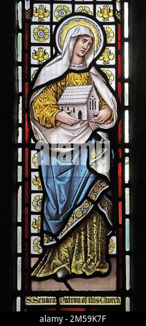Buntglasfenster von Edwin Horwood von der Firma Horwood Brothers, die St. Senara (auch bekannt als Asenora oder Sinara), St. Senara's Church, Zennor, Cornwall darstellt. Stockfoto