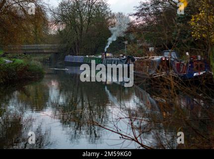 Eine Gruppe farbenfroher Kanalboote, die an den Maltings am River Stort in Sawbridgeworth vor Anker liegen. Eine Stockart schwimmt auch über den Fluss. Stockfoto