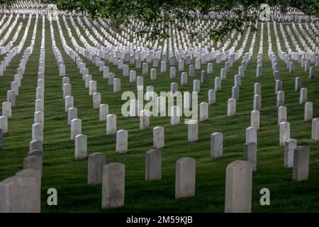 Ein perfekt organisiertes weißes Grab auf dem Arlington National Cemetery in Washington DC Stockfoto