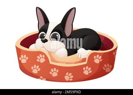 Süßes Boston Terrier cooles süßes Hündchen liegt im Cartoon-Stil isoliert auf weißem Hintergrund. Süßer Hund, Aufdruck. Vektordarstellung Stock Vektor