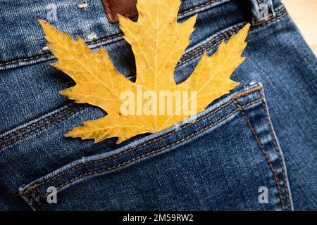 Gelbes Ahornblatt in der Hosentasche von Jeans, auf einem Holzregal. Saisonales Verkaufskonzept. - Flatley. - Was? Stockfoto