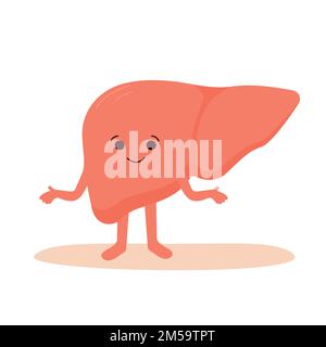 Ich Liebe Deinen Leberbewusstseinsmonat. Gesunde, glückliche und lächelnde Leber .Vector-Illustration im flachen und Cartoon-Stil Stock Vektor