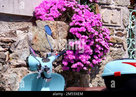 Eine Nahaufnahme einer lila Eisfabrik an einer Wand und blauen Motorrädern Stockfoto