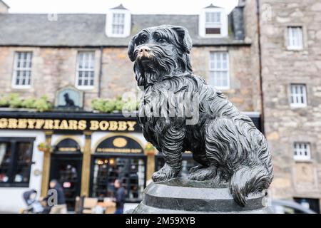 Greyfriars Bobby,Dog,Statue,Edinburgh,Capital,Scotland,Scottish,GB,Britain,UK,United Kingdom,Europe,European,Greyfriars Bobby (4. Mai 1855 bis 14. Januar 1872) war ein Skye Terrier oder Dandie Dinmont Terrier, der im 19. Jahrhundert in Edinburgh bekannt wurde, weil er 14 Jahre lang das Grab seines Besitzers bewachte, bis er am 14. Januar 1872 starb. Die Geschichte ist in Schottland durch mehrere Bücher und Filme weiterhin bekannt. Eine bekannte Gedenkstatue und nahe gelegene Gräber sind eine Touristenattraktion. Stockfoto