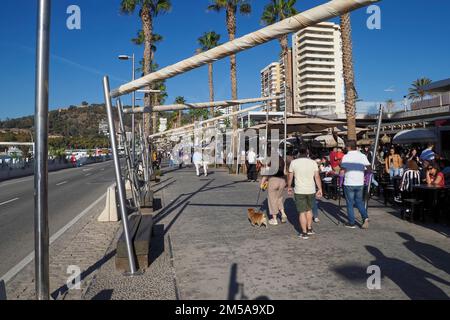 Muelle Uno im Hafen ist ein beliebtes Restaurantviertel im Hafen von Malaga, Spanien, Europa Stockfoto