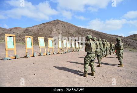 ARTA, Dschibuti (15. Februar 2022) – USA Marinesoldaten, die derzeit im Camp Lemonnier in Dschibuti stationiert sind, beginnen im Brandfall für den M9. Qualifizierungskurs im Arta Range Complex. Camp Lemonnier, Dschibuti, dient als Expeditionsbasis für US-Streitkräfte, die Schiffe, Flugzeuge und Personal unterstützen, die die Sicherheit in ganz Europa, Afrika und Südwestasien gewährleisten. Die Basis ermöglicht maritime und Kampfoperationen am Horn von Afrika und fördert gleichzeitig positive Beziehungen zwischen den USA und Afrika. Stockfoto