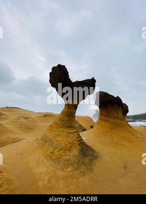 Eine vertikale Aufnahme der wunderschönen Felsformationen im Yehliu Geopark. Taiwan. Stockfoto