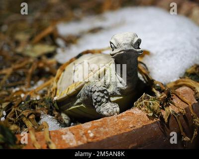 Eine Nahaufnahme einer Schildkrötenfigur auf einem Blumentopf Stockfoto