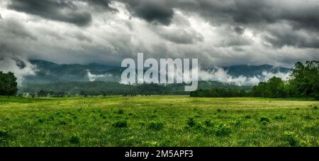 Ein horizontales Landschaftsbild einer Cades Cove Wiese an einem stürmischen Frühlingsmorgen. Cades Cove ist der meistbesuchte Abschnitt der Great Smoky Mountains N Stockfoto