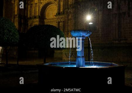 Plasencia, Spanien - 25. Dezember 2022: Regnerische Nacht in der Stadt Plasencia, mit der Fuente del Cabildo im Vordergrund und Teil der Kathedrale von Stockfoto