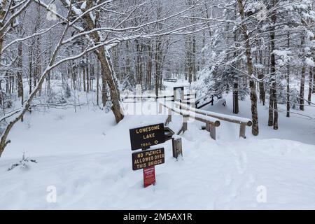 Schneebedeckter Wald entlang des Franconia Notch Bike Path in der Nähe des Lafayette Place im Franconia Notch State Park in Lincoln, New Hampshire. Stockfoto