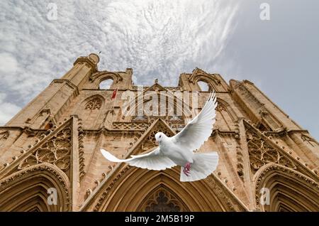 Die Taube, die vor der Gazimausa Lala Mustafa Pasa Cami fliegt - aus einem anderen Winkel Stockfoto
