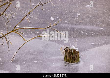 Zweige und ein Baumstumpf steigen im kalten Winter aus dem gefrorenen Wasser eines Sees in Deutschland auf Stockfoto