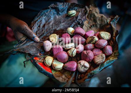 Kola-Nüsse auf einem afrikanischen Markt in Mali, Westafrika Stockfoto