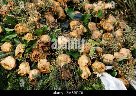 Ein Bestattungskranz mit verwelkten gelben Rosen auf einem vergessenen Grab Stockfoto