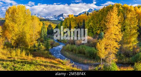 In den San Juan Mountains in der Nähe von Ridgway, Colorado, treffen die goldenen Espen am East Dallas Creek unter dem Cirque Mountain und dem Mount Sneffels die Sonne Stockfoto