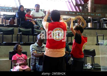 Cobra Show in Thailand, Reiseziel Asien. Stockfoto