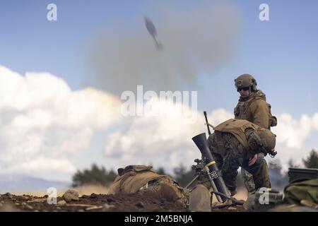 USA Marines mit 1. Bataillon, 3D. Marines, 3D. Marine Division, führen während Fuji Viper 22,3 im Combined Arms Training Center, Camp Fuji, Japan, am 23. Februar 2022 ein Liveschießen auf M252 81 mm Reichweite durch. Während dieser Übung haben die Marines ihre kritischen Fähigkeiten im Bereich der kombinierten Waffen geschärft, um sicherzustellen, dass sie bereit und in der Lage sind, eine Vielzahl von Missionen überall auf der Welt auszuführen. 1/3 wird im Indo-Pacific unter 4. Marines als Teil des Unit Deployment Program vorwärtsversetzt. Stockfoto