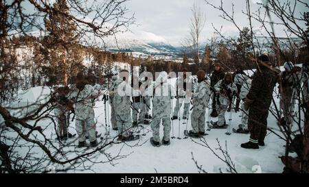 USA Marines mit 3. Bataillon, 6. Marineregiment, 2D. Marine Division, II. Marine Expeditionstruppe, bestätigen die Verantwortung für Ausrüstung und Personal vor der Übung Cold Response 2022, Setermoen, Norwegen, 24. Februar 2022. Übung Cold Response '22 ist eine alle zwei Jahre stattfindende norwegische nationale Bereitschafts- und Verteidigungsübung, die in ganz Norwegen stattfindet, unter Beteiligung jedes seiner Militärdienste sowie von 26 weiteren alliierten Nationen und regionalen Partnern der Nordatlantikvertrags-Organisation (NATO). Stockfoto