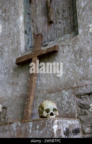 Skelette im traditionellen Grab des Toraja-Stammes, Süd-Sulawesi, Indonesien. Stockfoto