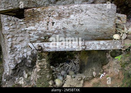 Die hölzernen Gräber in und um die Höhle sind Teil der Bräuche des Volkes Toraja, Süd-Sulawesi, Indonesien. Stockfoto