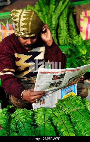 Ein Bengaliser liest die Morgenzeitung auf dem Markt in Kalkutta, Indien. Stockfoto