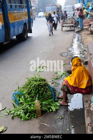 Eine Frau, die Tierfutter auf einer Straße in Kalkutta, Indien, verkauft Stockfoto