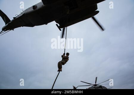 EIN US-AMERIKANISCHER Marine mit Echo Company, 2. Bataillon, 6. Marines, führt ein schnelles Seiltraining durch von einem CH-53E Super Hallion an Bord des Marine Corps Basislagers Lejeune, North Carolina, 24. Februar 2022. Echo Co. Führte die Schulung zur Zertifizierung für luftgestützte Einführoperationen zur Vorbereitung eines bevorstehenden Einsatzes durch. Stockfoto