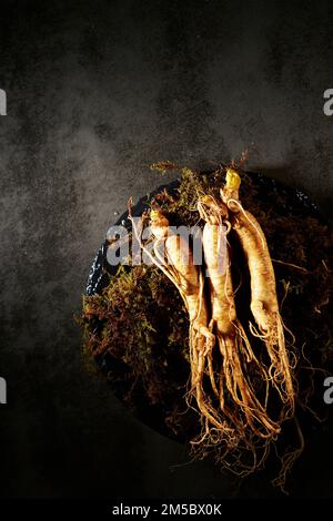 Frischer Ginseng auf einem Teller Stockfoto