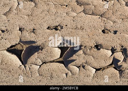 Ausgetrockneter Boden, Risse, Muster, Spuren von Regentropfen nach der Flutkatastrophe in Almeria, Sturm 2012, Andalusien, Spanien Stockfoto