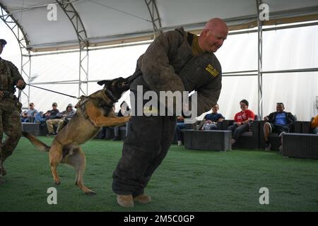 Military Working Dog Cory, 332d. Geschwader der Expeditionstruppen, beißt einen simulierten Täter während einer Demonstration an einem geheimen Ort in Südwestasien, 25. Februar 2022. Ein MWD ist ausgebildet, die Kontrolle über Angreifer zu behalten, bis der Handler einen Befehl erteilt. Stockfoto