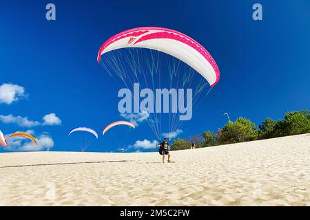 Mehrere Gleitschirme auf einer Düne, bereit für den Start auf der Dune du Pilat, Arcachon, Gironde, Aquitaine, Frankreich Stockfoto