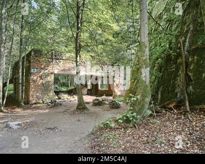 Ruinen der Wolfsschanze (auch Wolfsschanze oder Goerlitz), das militärische Lagezentrum des Kommandostabs der deutschen Wehrmacht. Die Wolfsschanze Stockfoto