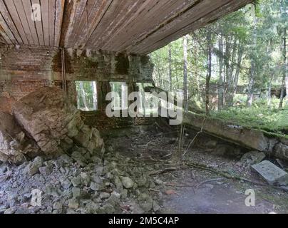 Ruinen der Wolfsschanze (auch Wolfsschanze oder Goerlitz), das militärische Lagezentrum des Kommandostabs der deutschen Wehrmacht. Die Wolfsschanze Stockfoto