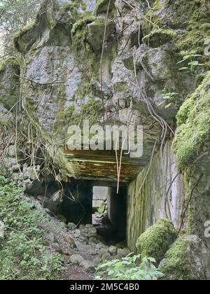 Ruinen der Wolfsschanze (auch Wolfsschanze oder Goerlitz), das militärische Lagezentrum des Kommandostabs der deutschen Wehrmacht. Die Wolfsschanze Stockfoto