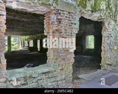 Ruinen der Wolfsschanze (auch Wolfsschanze oder Goerlitz), das militärische Lagezentrum des Kommandostabs der deutschen Wehrmacht. Die Wolfsschanze Stockfoto