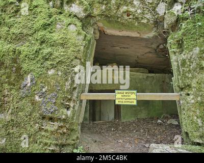 Ruinen der Wolfsschanze (auch Wolfsschanze oder Goerlitz), das militärische Lagezentrum des Kommandostabs der deutschen Wehrmacht. Die Wolfsschanze Stockfoto