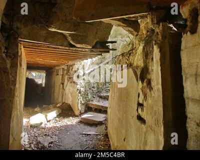 Ruinen der Wolfsschanze (auch Wolfsschanze oder Goerlitz), das militärische Lagezentrum des Kommandostabs der deutschen Wehrmacht. Die Wolfsschanze Stockfoto