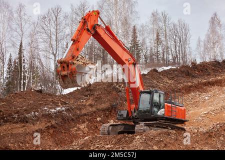 Hydraulikbagger bei der Arbeit im Wald Stockfoto