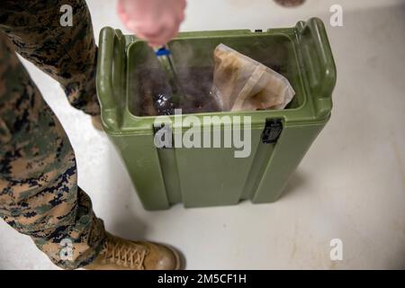 EIN US-AMERIKANISCHER Der Food-Spezialist des Marine Corps mit dem 2. Landing Support Bataillon schiebt Kaffeebeutel in heißes Wasser, im Aurora Event Center auf dem Luftwaffenstützpunkt Eielson, Fairbanks, Alaska, 1. März 2022. 2. LSB ist eine wichtige Unterstützungsrolle bei der Übung Arctic Edge 22, indem er Lebensmitteldienstleistungen für die USA bereitstellt Soldaten der Armee, die am Kältetraining teilnehmen. Stockfoto