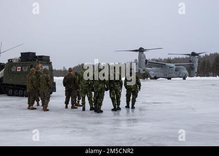 Mitglieder der schwedischen Streitkräfte und der USA Marinesoldaten mit 2. Marine Aircraft Wing, II Marine Expeditionary Force, beobachten einen MV-22B Osprey auf der norwegischen Militärbasis Setermoen, Norwegen, 2. März 2022. Übung Cold Response ’22 ist eine alle zwei Jahre stattfindende Übung in ganz Norwegen, an der sich jeder seiner Militärdienste sowie 26 weitere alliierte Nationen und regionale Partner der Nordatlantikvertrags-Organisation (NATO) beteiligen. Stockfoto