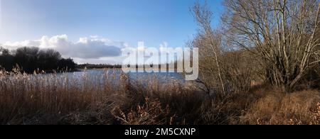 See in einem Wald in den Niederlanden mit niedriger Sonne, umgeben von Bäumen und Sträuchern im Winter mit wunderschönem bewölktem Himmel. Breitbild Stockfoto