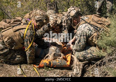 USA Marines und ein US-amerikanischer Navy Sailor with Weapons Company, 2D Bataillon, 5. Marines (2/5), 1. Marine Division, sichert ein simuliertes Opfer eines Sked Basic Rescue System während einer Bergungsmission während eines taktischen Auffangkurses für Flugzeuge und Personal (TRAP) im Marine Corps Base Camp Pendleton, Kalifornien, 2. März 2022. Die Marines von 2/5 nahmen an dem TRAP-Kurs Teil, um Kompetenz für schnelle Such- und Rettungseinsätze zu erlangen. Stockfoto