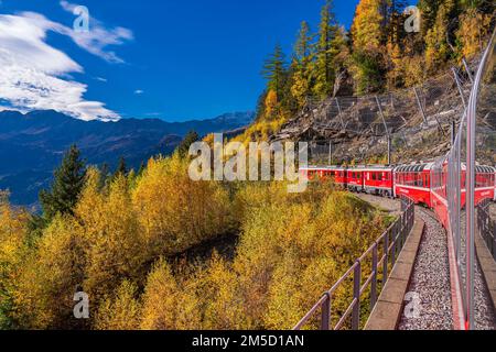 CADERA, SCHWEIZ - OKTOBER 28,2022: BERNINA Express of Rhaetian Railway Line, die an einem farbenfrohen Herbsttag bis zum Berner Berg fährt Stockfoto