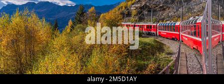 CADERA, SCHWEIZ - OKTOBER 28,2022: BERNINA Express of Rhaetian Railway Line, die an einem farbenfrohen Herbsttag bis zum Berner Berg fährt Stockfoto