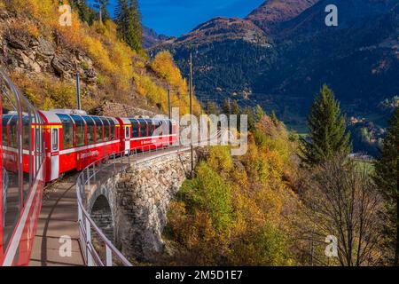 CADERA, SCHWEIZ - OKTOBER 28,2022: BERNINA Express of Rhaetian Railway Line, die an einem farbenfrohen Herbsttag bis zum Berner Berg fährt Stockfoto