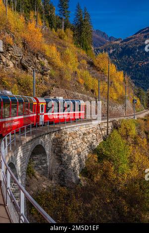 CADERA, SCHWEIZ - OKTOBER 28,2022: BERNINA Express of Rhaetian Railway Line, die an einem farbenfrohen Herbsttag bis zum Berner Berg fährt Stockfoto