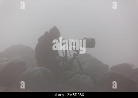 Die Silhouette eines Naturfotografen mit Kamera und Teleobjektiv auf einem Stativ in starkem Nebel. Stockfoto