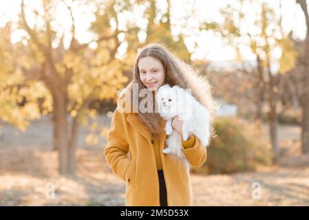 Süßes lächelndes Teenager-Mädchen 15-16 Jahre alt, das den weißen, flauschigen spitz Welpen-Hund über den gelben Herbsthintergrund im Park hält. Freundschaft. Stockfoto